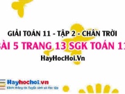 Bài 5 trang 13 Toán 11 tập 2 Chân trời sáng tạo: Ứng Dụng Hàm Số Mũ